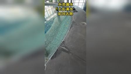 瓷砖水池漏水怎么处理(瓷砖水池漏水用什么胶水补漏)